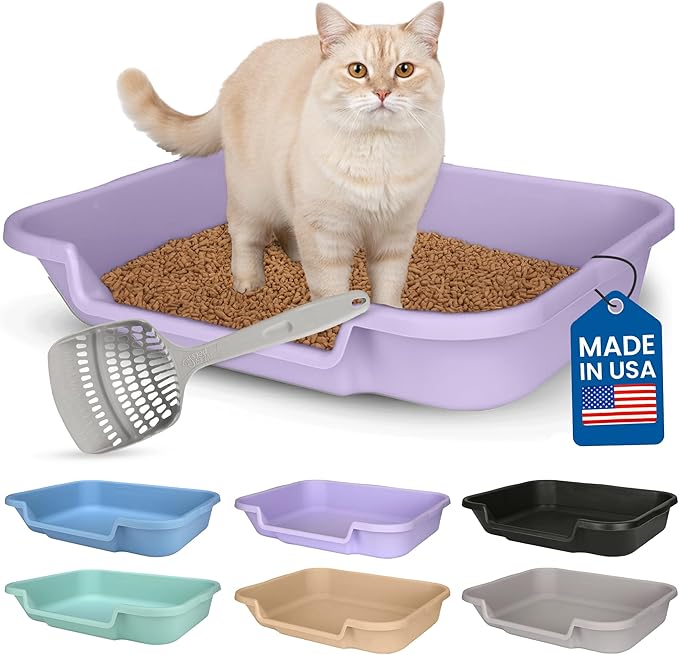 KittyGoHere Senior Cat Litter Box, Large Litter pan with Long-Handle Jumbo Scoop, Open Top Low Entrance Kitty Litter Box, Lightweight Low Entry Litters Box, Durable, Made in USA (Storybook Lavendar)