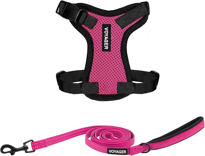 Best Pet Supplies Voyager Step-in Lock Pet Harness w Reflective Pet Leash Combo Set with Neoprene Handle 5ft - Supports Small, Medium and Large Breed Puppies/Cats - Fuchsia/Black Trim, XXXS
