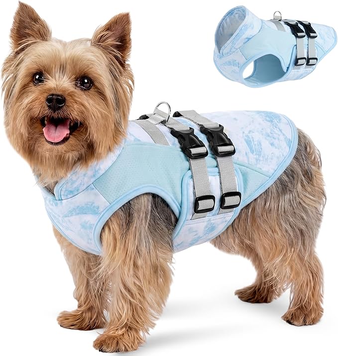 DORA BRIDAL Dog Cooling Vest for Summer, Lightweight Breathable Mesh Cooling Jacket with Harness, Soft Pet Cooler Shirt for Small Dogs, UV Protection for Beach Hiking Walking -S, Blue