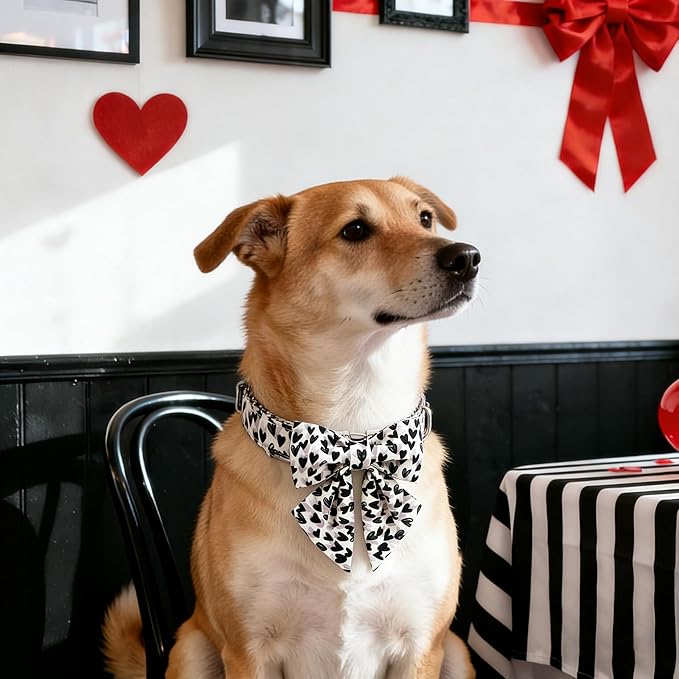 DOGWONG Valentine Dog Collar with Bow, Metal Buckle Adjustable Heart Bowtie Pet Valentine Collars for Small Dogs,M