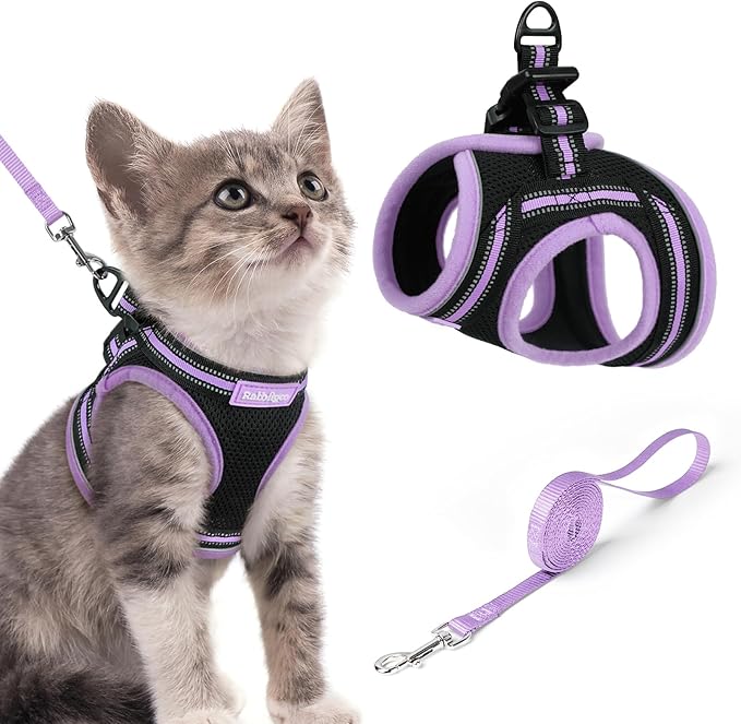 rabbitgoo Cat Harness and Leash, Step-in Escape Proof Kitten Harness Set, Soft Comfortable Cat Vest, Easy to Wear and Adjust, Reflective for Safe Outdoor Walking, Black&Light Purple, Small