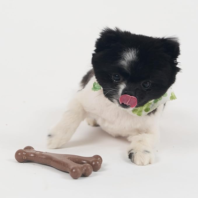 SPOT Bam-Bones Wishbone Dog Chew Toy, Bamboo Fiber Blend, Non-Splintering Durable Chew for Light to Moderate Chewers, Adult Dogs & Teething Puppies 10–30 lbs, Bacon Flavor, 5.25 in