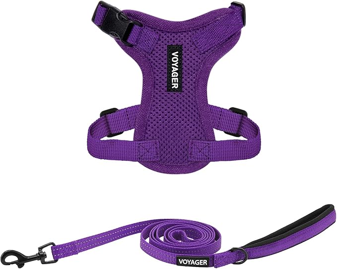 Best Pet Supplies Voyager Step-in Lock Pet Harness w Reflective Pet Leash Combo Set with Neoprene Handle 5ft - Supports Small, Medium and Large Breed Puppies/Cats - Purple Set, XXXS