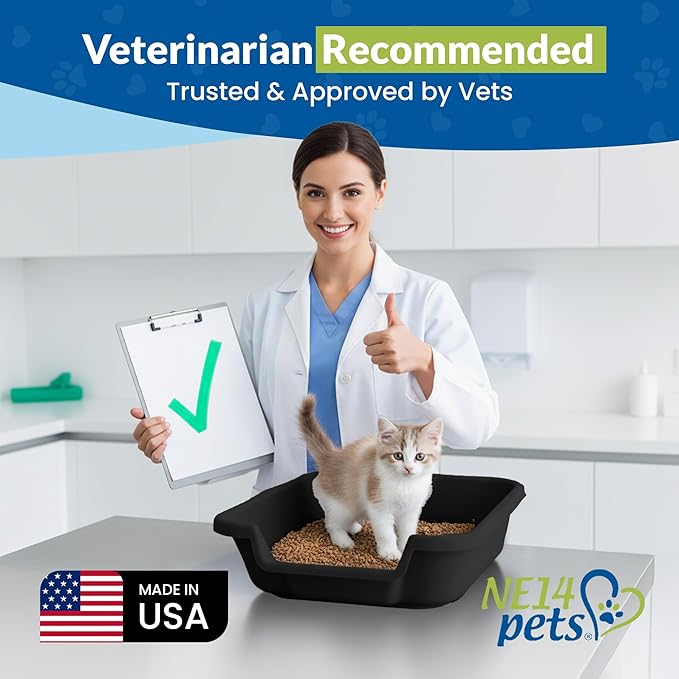 KittyGoHere Senior Cat Litter Box, Small Litter pan with Long-Handle Jumbo Scoop, Open Top Low Entrance Kitty Litters Box, Lightweight Low Entry Litter Box, Durable, Made in USA (Black)