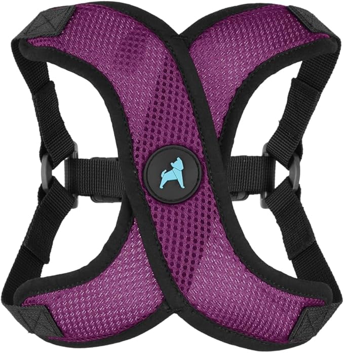 Gooby Comfort X Step in Lite Dog Harness - Choke Free, Escape Free with Light Breathable Mesh - Step in Dog Harness for Small Dogs Only - Quick Release Buckle, Metal D-Rings - Purple, Small