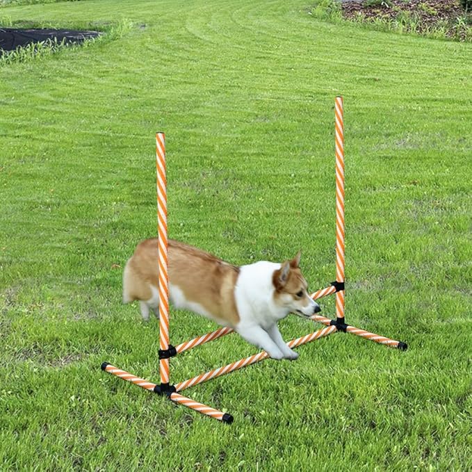 anwickjeff 6 Piece Dog Agility Training Equipment with Hurdle Bag and Whistle,Obstacle Course for Dogs Agility Hurdles Backyard Exercise Competitive (Orange, 6 Piece)
