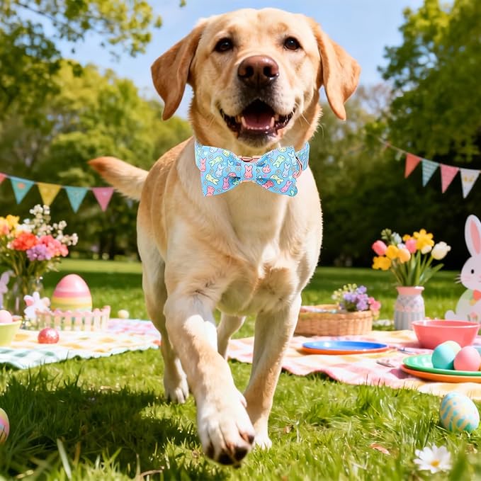 DOGWONG Easter Dog Collar, Blue Bunny Print Dog Collar with Bow, Girl Boy Pet Spring Holiday Dog Collars for Small Dogs,S