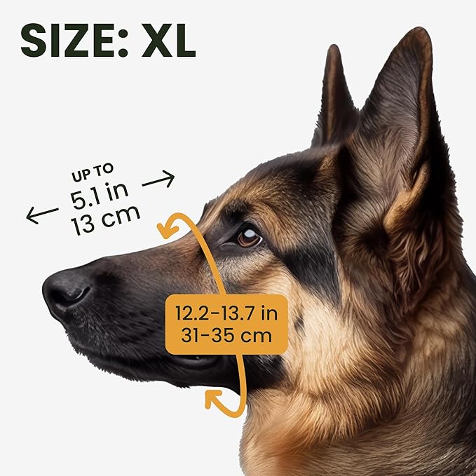 BronzeDog Dog Muzzle German Shepherd Wire Basket Metal Mask Leather Adjustable Medium Large Pets (XL)