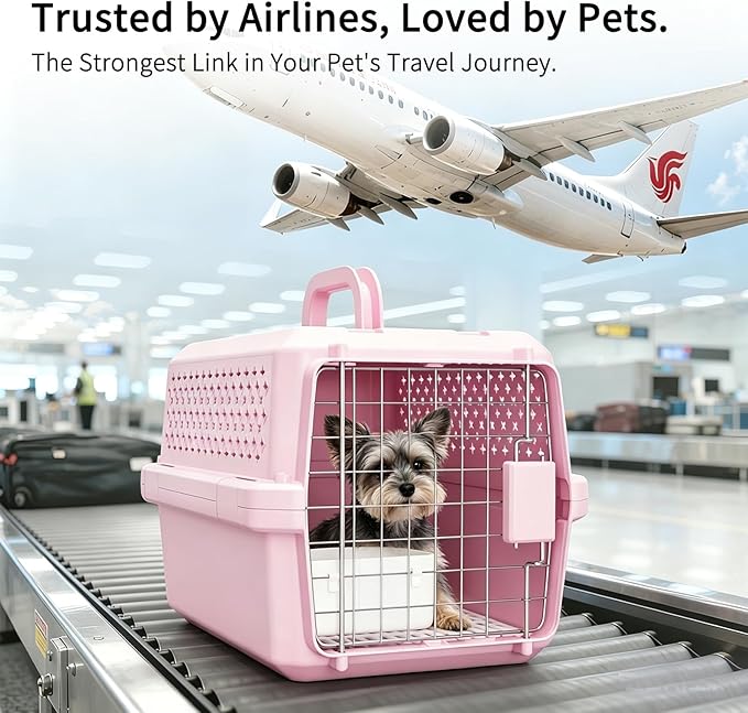 RIZZARI Portable Cat Carrier for Small Cats & Dogs:Secure Hard-Sided Pet Carrier with Ventilation - Metal Door & Carry Handle for Travel - Vet Visits & Daily Use (Pink, X-Small)