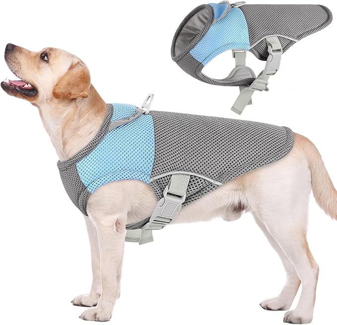 AOFITEE Cooling Vest for Dogs, Breathable Dog Cooling Vest with Harness D-Ring, Dogs UV Protection Shirt Pet Cooler Jacket, Lightweight Dog Sun Shirt for for Summer Hot Weather, Blue L