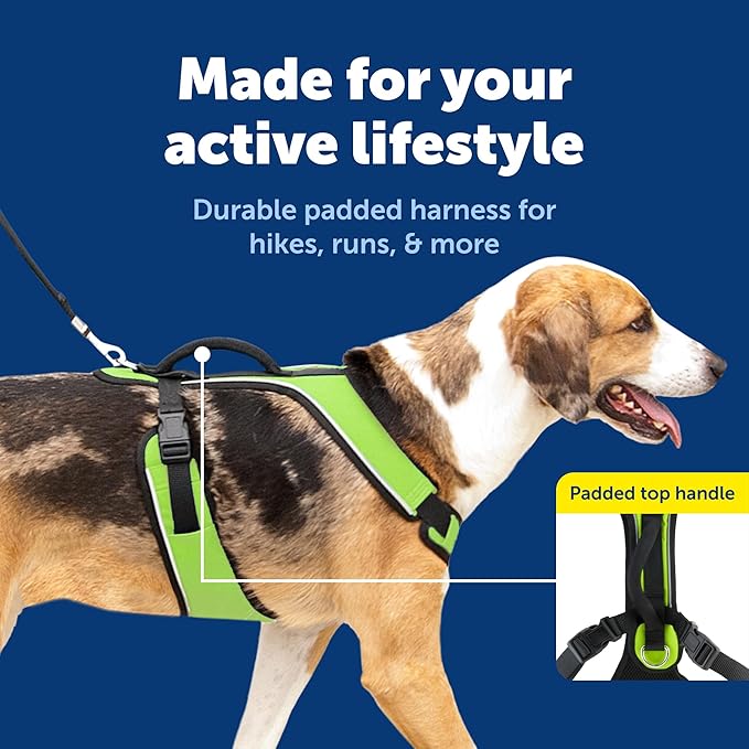 PetSafe EasySport Dog Harness Adjustable, Padded Dog Harness with Control Handle and Reflective Piping Large, Apple Green