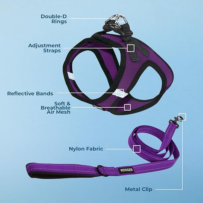 Best Pet Supplies Voyager Step-in Air All Weather Mesh Harness and Reflective Dog 5ft Leash Combo with Neoprene Handle, for Small, Medium and Large Breed Puppies - Set (Purple/Black Trim), Small