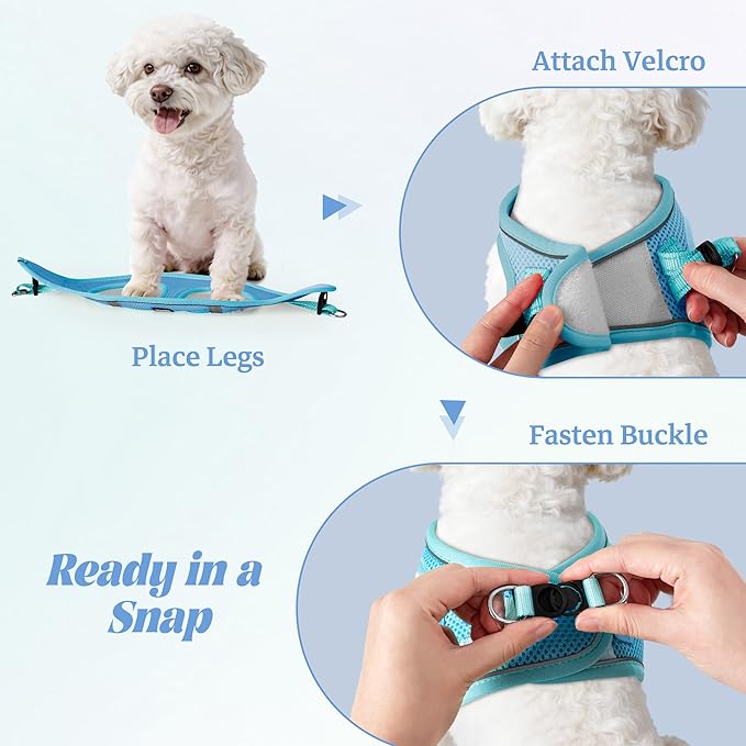 YIMEIS Dog Harness and Leash Set, No Pull Soft Mesh Pet Harness, Reflective Adjustable Puppy Vest for Small Medium Large Dogs, Cats (Sky Blue, X-Small (Pack of 1)