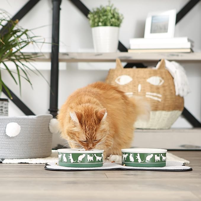 Bone Dry Ceramic Cat Bowls, Microwave & Dishwasher Safe, Medium Set, 6x2, Hunter Green, 2 Count