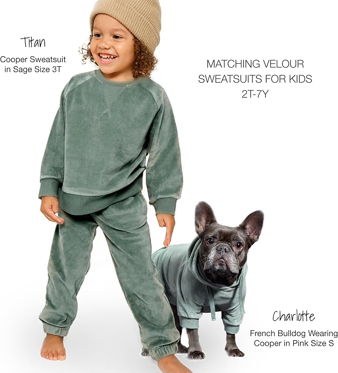 Pet Passion Cooper II Organic Cotton Velour Dog Hoodie Pet Coat for Small, Medium and Large Dogs, Sage, XXX-Small (up to 5lbs)