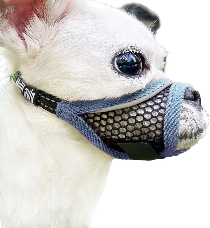 Dog Muzzle, Soft Mesh Muzzles for Small Medium Dogs for Barking Biting Grooming Vet Visits, Short Snout Puppy Mask Allows Drinking, Breathable Mouth Cover 10-20 lbs (Silver-Blue, S)