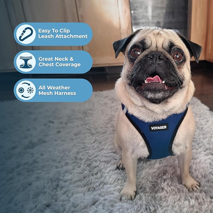 Best Pet Supplies Voyager Step-in Air All Weather Mesh Harness and Reflective Dog 5ft Leash Combo with Neoprene Handle, for Small, Medium and Large Breed Puppies - Set (Blue/Black Trim), XX-Small