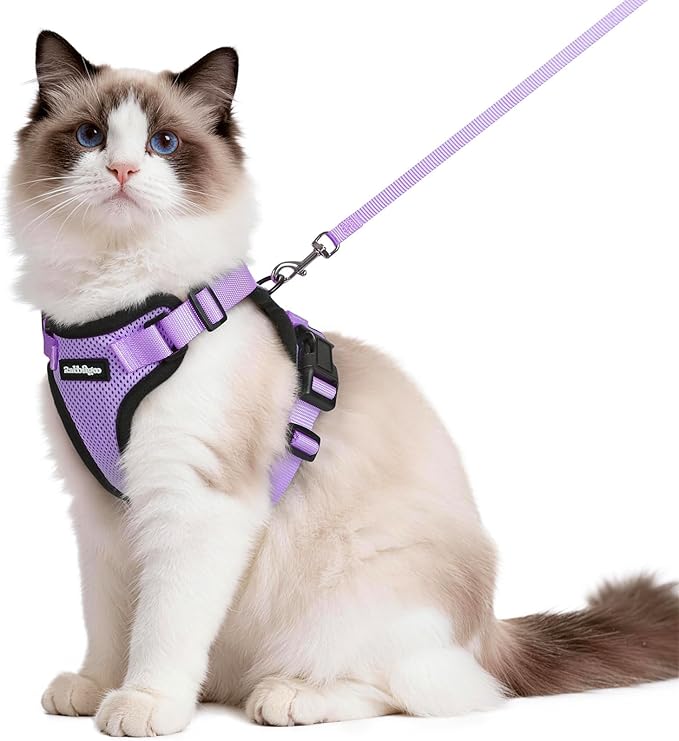 rabbitgoo Cat Harness and Leash Set, Escape Proof Vest Harness for Safe Outdoor Walks, Soft Breathable Adjustable Vest with Reflective Strips for Average to Large Cats, Light Purple, M