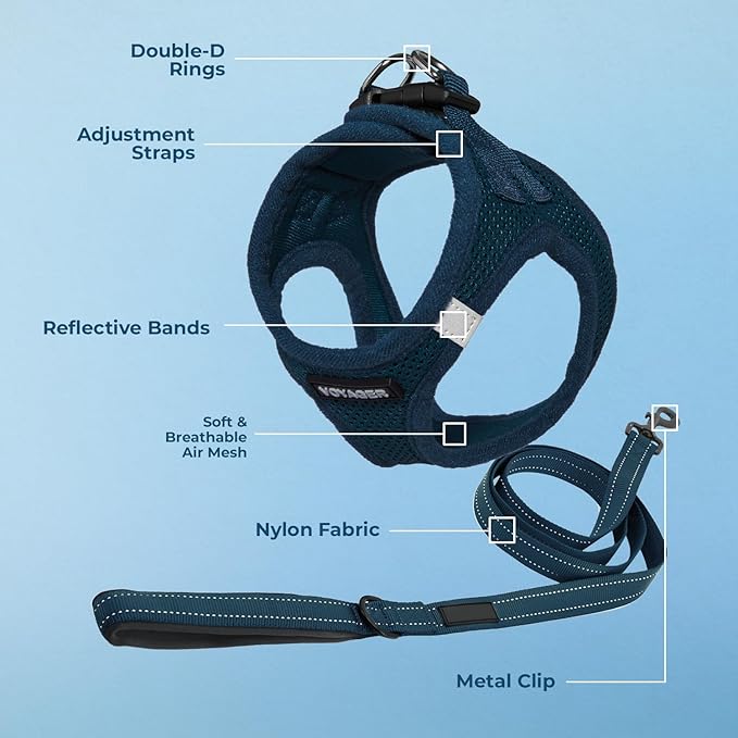 Best Pet Supplies Voyager Step-in Air All Weather Mesh Harness and Reflective Dog 5ft Leash Combo with Neoprene Handle, for Small, Medium and Large Breed Puppies - Set (Blue), XXX-Small