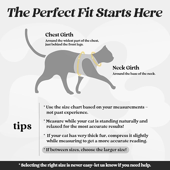 rabbitgoo Cat Harness and Leash, Step-in Escape Proof Kitten Harness Set, Soft Comfortable Cat Vest, Easy to Wear and Adjust, Reflective for Safe Outdoor Walking, Black, Medium