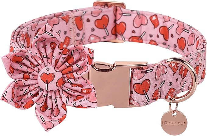 Valentine Dog Collar with Flower, Heart Flower Collar for Puppy Girl Boy Dog or Cat, Comfortable Dog Collar Flower with Durable Metal Buckle, Cute Pet Collar, S, Neck 10-16in