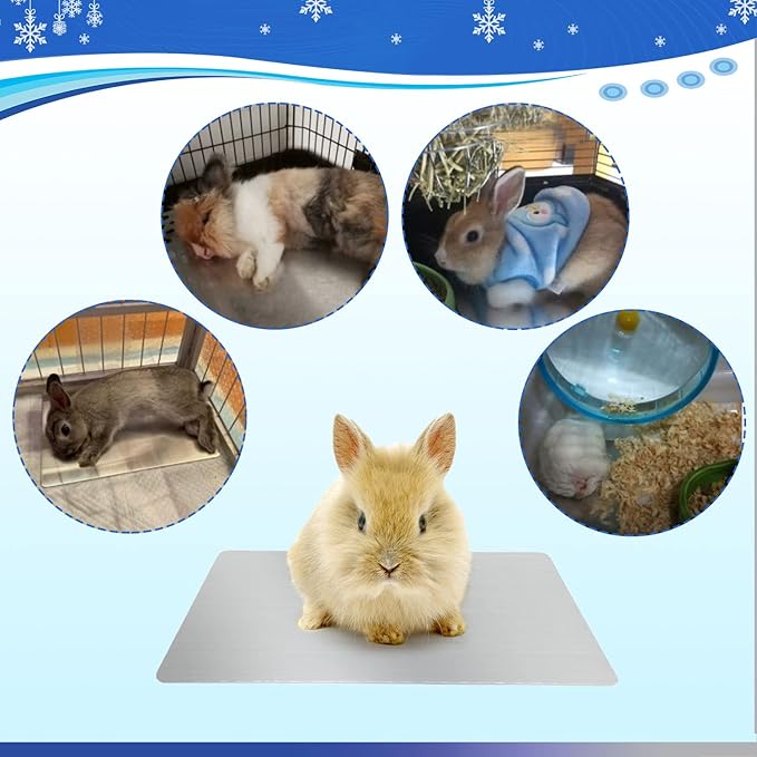 Rabbit Cooling Pad, 11.8x7.9 IN Hamster Cooling Mat Pet Cool Plate for Rabbit Bunny Hamster Guinea Pig & Other Small Pets Stay Cool This Summer - Bite Resistance Pet Cooling Pad Ice Bed (2PCS)