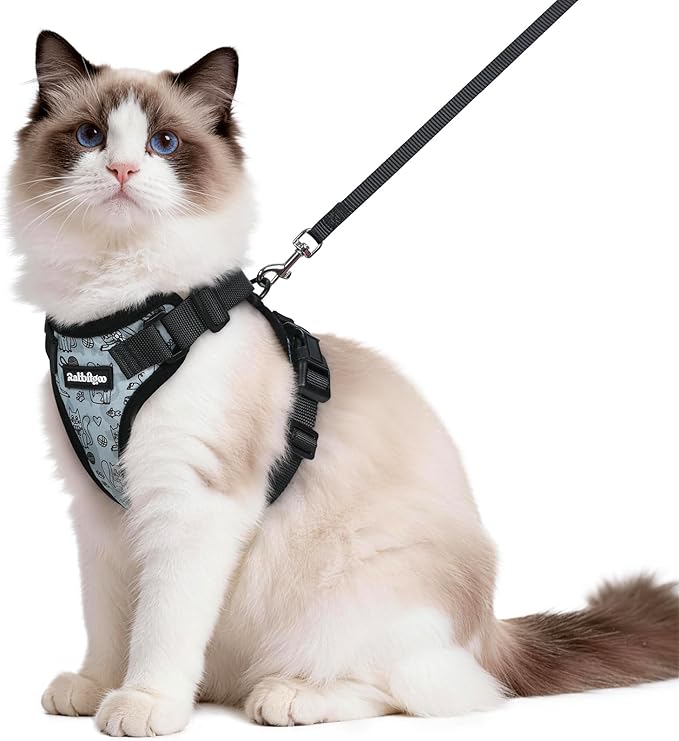 rabbitgoo Cat Harness and Leash Set, Escape Proof Vest Harness for Safe Outdoor Walks, Soft Breathable Adjustable Vest with Reflective Strips for Average to Large Cats, Doodle Gray, M