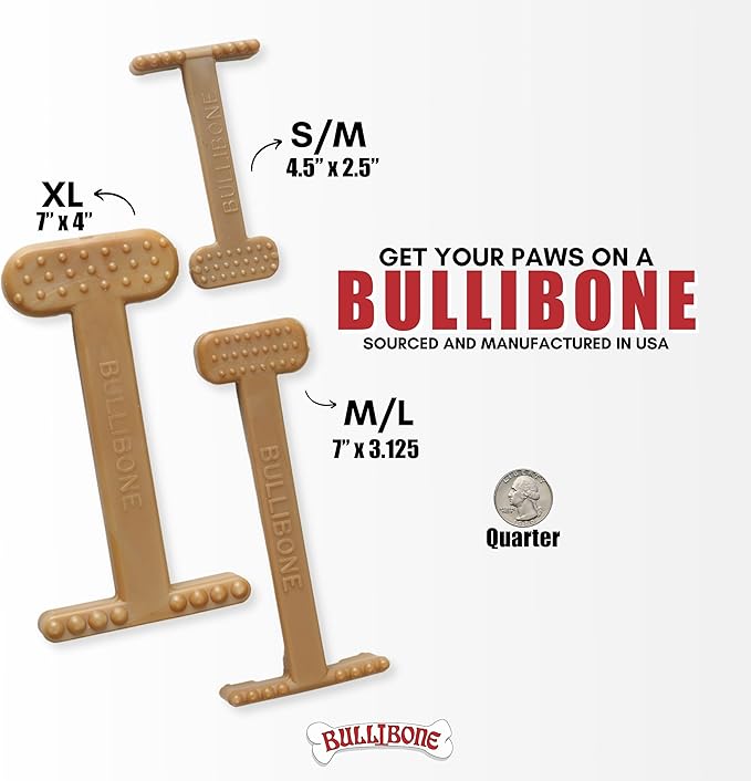 Bullibone Nylon Dog Chew Toy for Aggressive Chewers - Dental Hygiene Bone with Beef Flavor, Durable Tough Chew Toys for Small Dogs, Indestructible Dog Bone - 2 Pack
