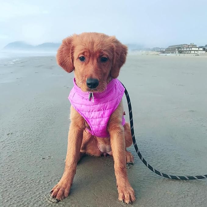 Gooby Puffer Vest Dog Jacket - Purple, Large - Ultra Thin Wind Breaker with Dual D Ring Leash - Water Resistant Small Dog Sweater Coat