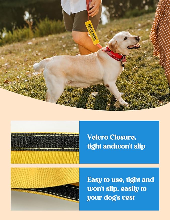 Foster Dog Leash Sleeve - Funny Yellow Alert Wrap with Hanging ID Patch | Looking for My Forever Home Pet Leash Accessory, Gift for Dog Owners