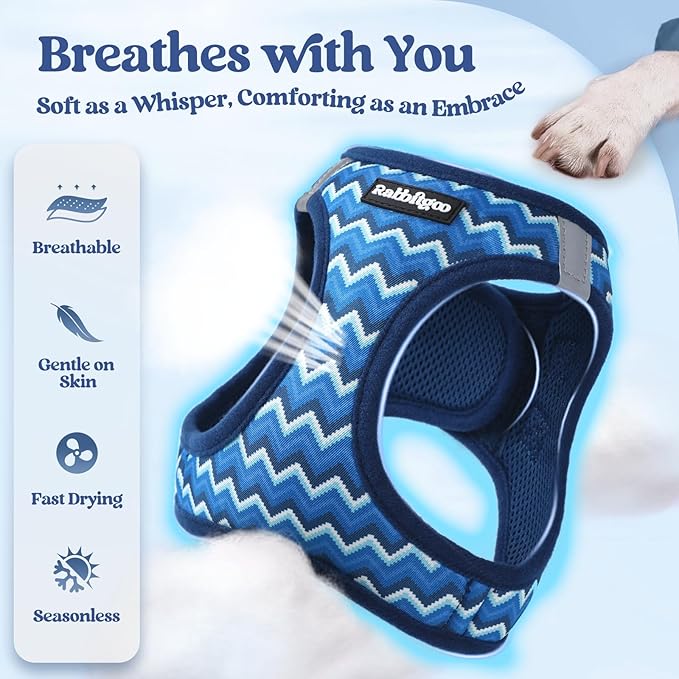 rabbitgoo Dog Harness Small Sized and Leash Set, Step in Soft Light Puppy Vest, Breathable Mesh Pet Harness, Reflective for Safe Easy Walking, Blue Zigzag XXS