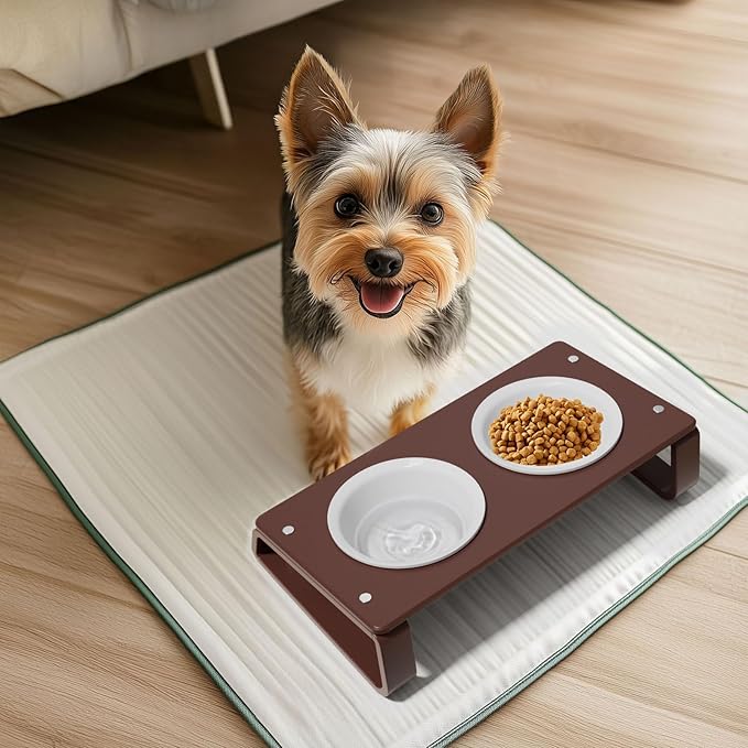 AITEE Elevated Cat Food Bowl, Ceramic Raised and Tilted Water Bowl, Non-Slip Ceramic Dog Bowls for Puppy and Kitten Cats 45.8 OZ