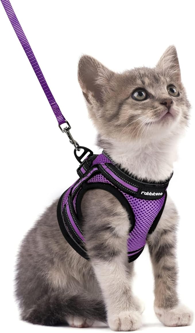 rabbitgoo Cat Harness and Leash, Step-in Escape Proof Kitten Harness Set, Soft Comfortable Cat Vest, Easy to Wear and Adjust, Reflective for Safe Outdoor Walking, Purple, Small