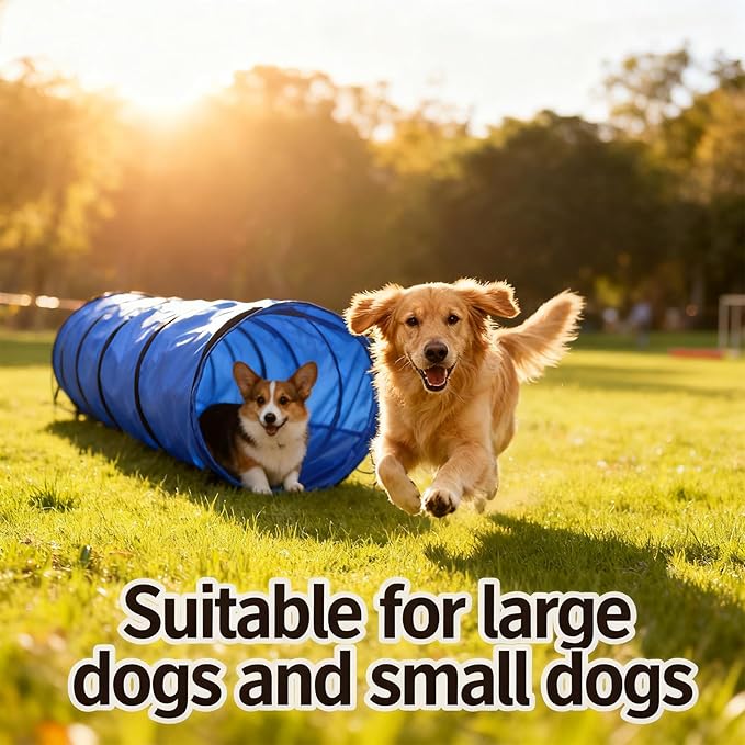 Dog Agility Tunnel with Carry Bag and Ground Spikes, Foldable 10-Foot Tunnel for Dog Training, Dog Agility Equipment for Outdoor, Backyard, Indoor Use, KINETOVOLTA
