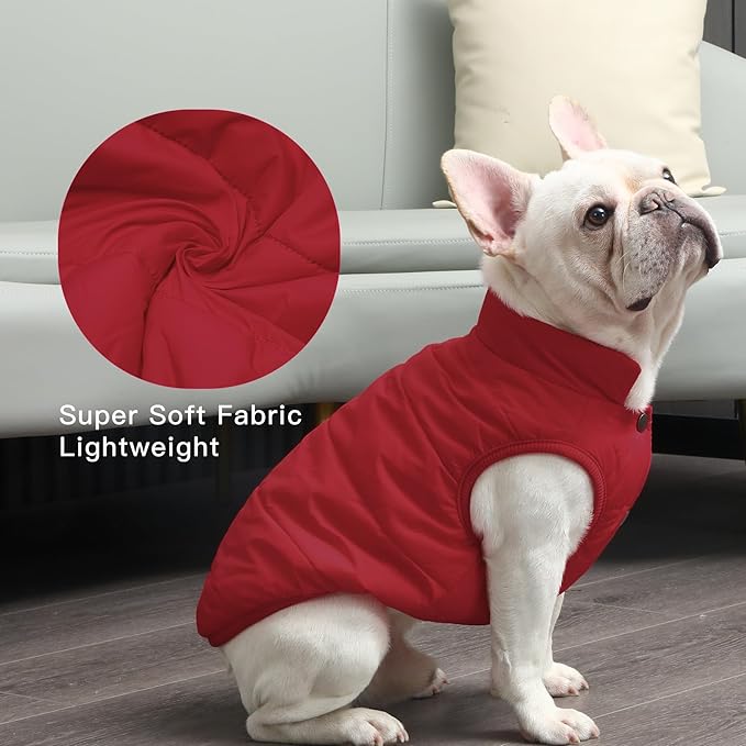 JoyDaog 2 Layers Fleece Lined Warm Dog Jacket for Puppy Winter Cold Weather,Soft Windproof Small Dog Coat,Red S