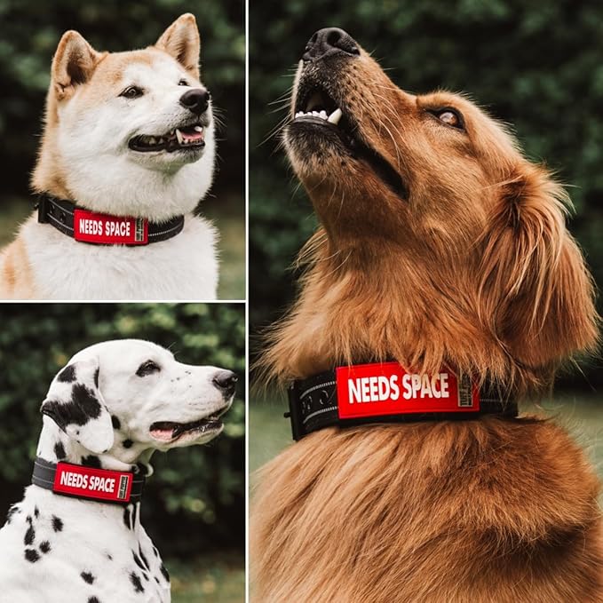 Tuff Pupper 2-Pack Waterproof Collar Sleeves | Fits Any 3/4 Inch Wide Dog Collar | Dual Sided Message | Durable Silicone & Neoprene | Odor & Stink Proof | Easy Slide On & Off (Needs Space, Small)
