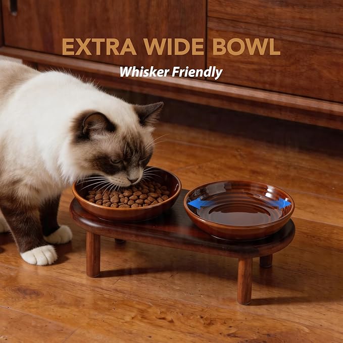 Havniva Elevated Cat Bowls Raised Ceramic Cat Bowl, 5.9” Wide Opening Cat Food Bowl Whisker Friendly Cat Dish Anti-Slip with Wood Stand, Shallow Pet Food & Water Bowl for Indoor Cats