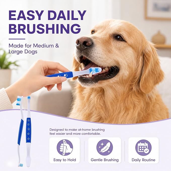 Dog Toothbrush – Newly Upgraded Dual-Head Design with 60° Wavy Bristles – Gently Surrounds Teeth for Deep Cleaning and Plaque Removal – Non-Slip Handle, Ideal for Daily Pet Dental Care (Blue, 1-Pack)