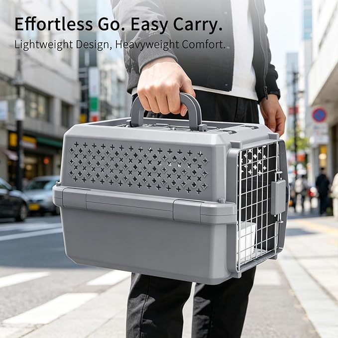 RIZZARI Portable Cat Carrier for Small Cats & Dogs:Secure Hard-Sided Pet Carrier with Ventilation - Metal Door & Carry Handle for Travel - Vet Visits & Daily Use (Gray, X-Small)