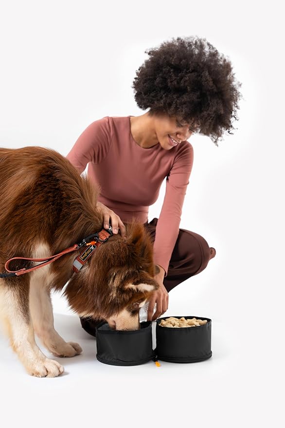 OllyDog Superbowl | Collapsible Dog Travel Bowl | 2-Compartment Food & Water | Foldable Portable Dog Dish | Hiking Camping Backpacking | Small Medium Large Dogs (Raven)