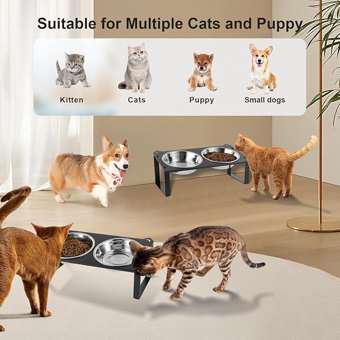 1 Set Elevated Cat Food Water Bowls, 4 Replacement Stainless Steel Bowls for Indoor Pet with Cute Metal Stand, 10° Tilted Anti-Vomiting Raised Wide Shallow Cat Dishes Whisker Friendly for Kitten,Puppy