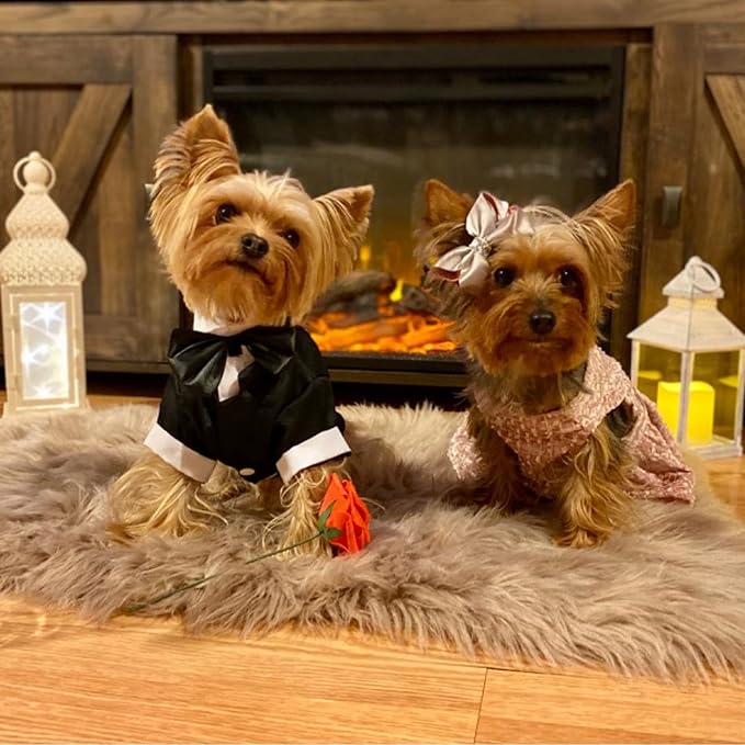 Dog Shirt Puppy Clothes, Pet Wedding Suit Formal Tuxedo with Black Bow Tie, Pet Outfit for Small Medium Dogs Cats, Pet Weding Attire Dress Up Cosplay Prince Costume Gentleman Apparel (Black, X-Large)