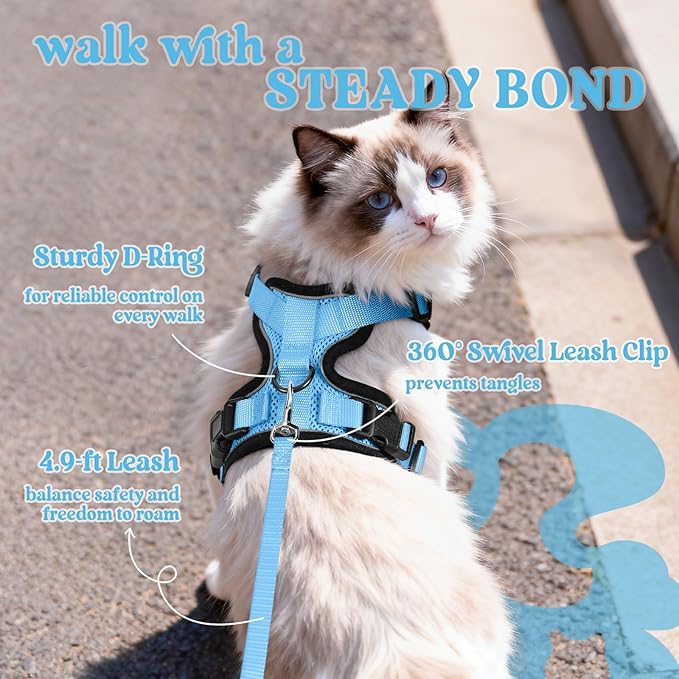 rabbitgoo Cat Harness and Leash Set, Escape Proof Kitten Harness for Safe Outdoor Walks, Soft Breathable Adjustable Vest with Reflective Strips for Kittens and Extra Small Cats, Light Blue, XXS