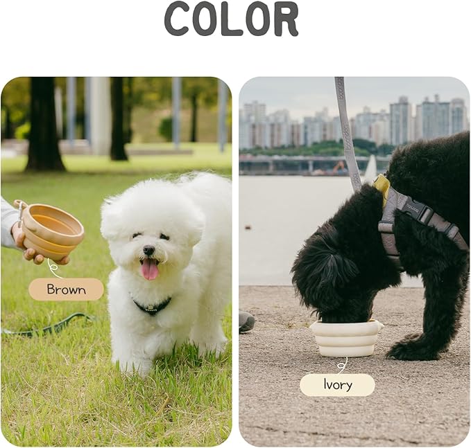 Silicone Collapsible Dog Bowl for Travel,Premium Food-Grade Silicone, Portable Water Bowl for Dogs Cats, Foldable Food Water Bowl, Walking, Carabiner, BPA Free, Dishwasher Safe (Ivory)
