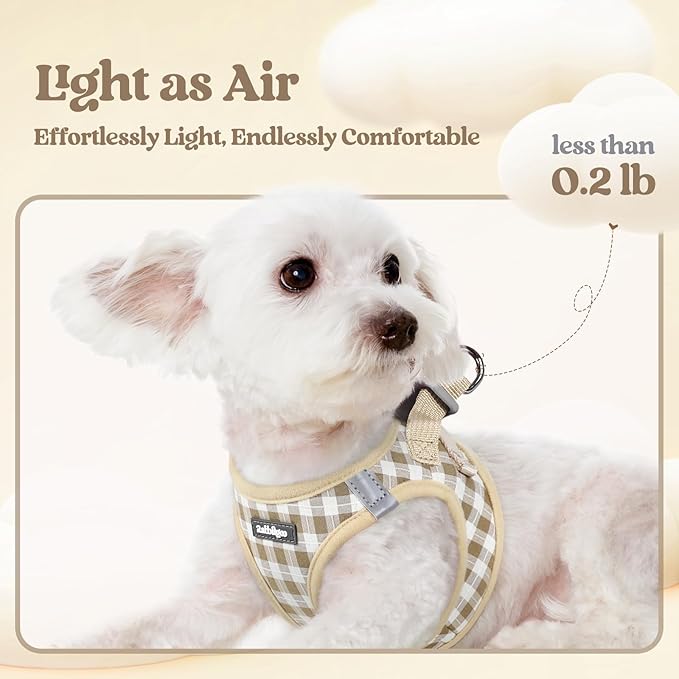 rabbitgoo Dog Harness Small Medium Sized and Leash Set, Step in Soft Light Puppy Vest, Breathable Mesh Pet Harness, Reflective for Safe Easy Walking, Beige Check L