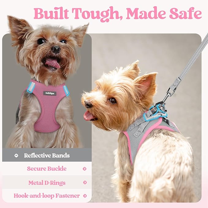 rabbitgoo Dog Harness Small Sized and Leash Set, Step in Soft Light Puppy Vest, Breathable Mesh Pet Harness, Reflective for Safe Easy Walking, Pink & Gray XXS
