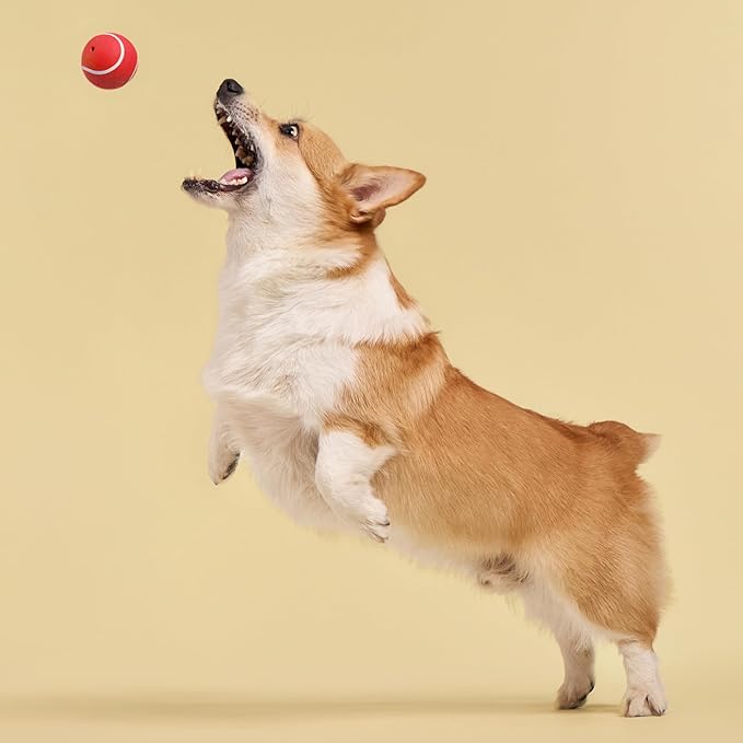 Playology Dog Toys | Squeaky Chew Ball for Dogs | Beef Scented Medium Dog Ball | Bouncy Floating Chew Toys for Fetch