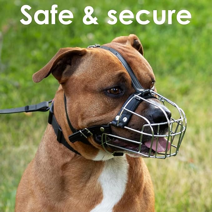 BRONZEDOG Pitbull Dog Muzzle Metal Mask Amstaff Wire Basket Pit Bull Adjustable Leather Straps for Large Dogs (Graphite Metal)