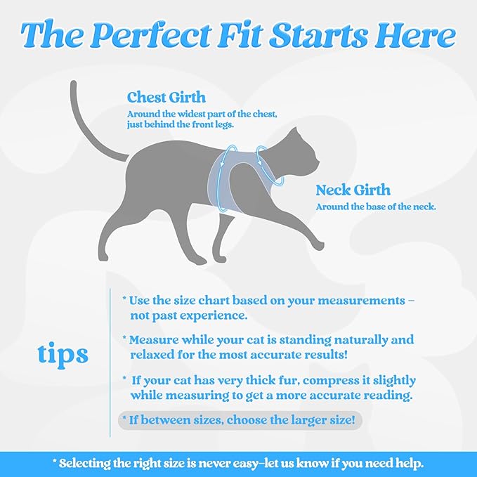 rabbitgoo Cat Harness and Leash, Step-in Escape Proof Kitten Harness Set, Soft Comfortable Cat Vest, Easy to Wear and Adjust, Reflective for Safe Outdoor Walking, Black&Light Blue, Small