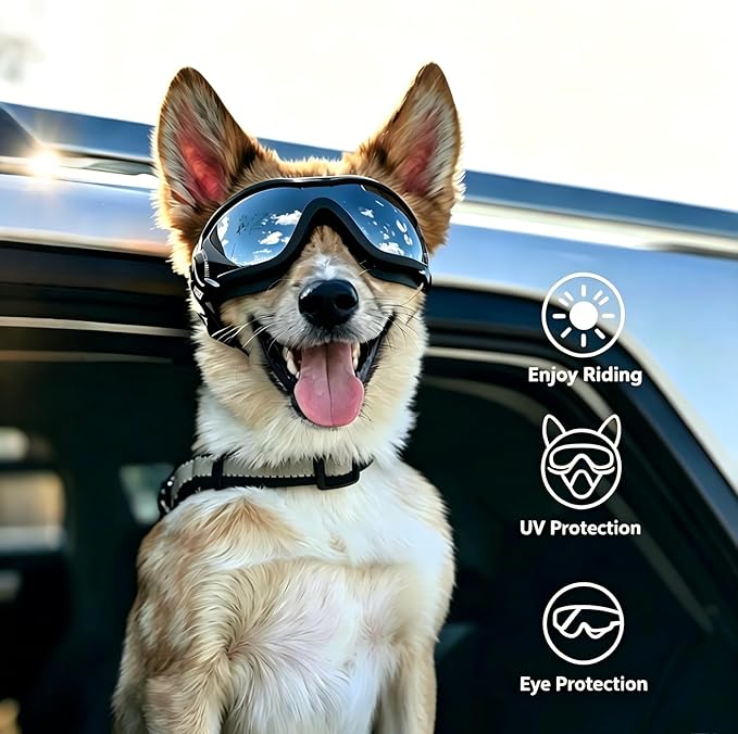 LESYPET Dog Goggles Large Breed, UV Wind Dust Protection Large Dog Sunglasses Eye Protection, Eye Wear Pet Glasses with Adjustable Strap for Outdoor Riding, L